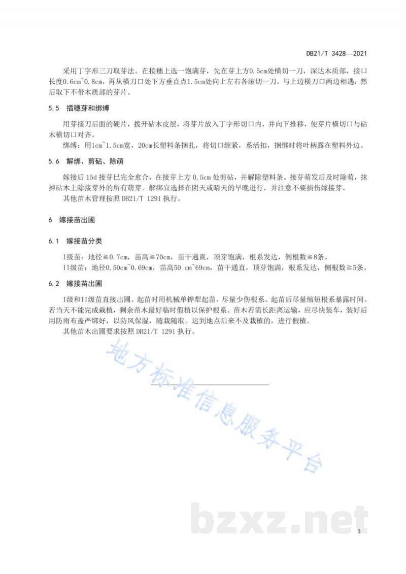 DB21/T 3428-2021文冠果嫁接苗繁育技术规程