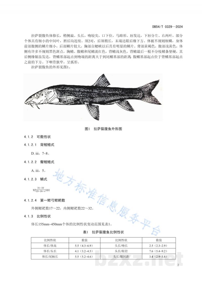DB54/T 0329-2024拉萨裂腹鱼