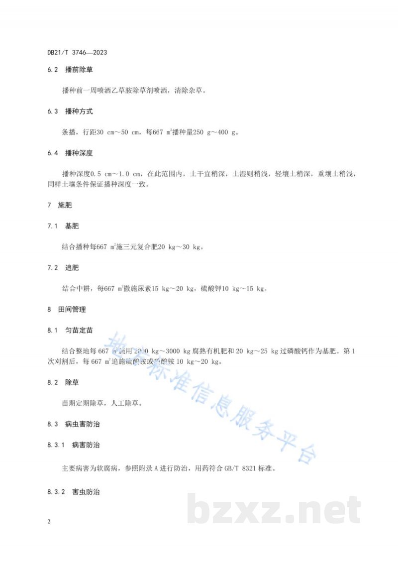 DB21/T 3746-2023半干旱区菊苣种植技术规程