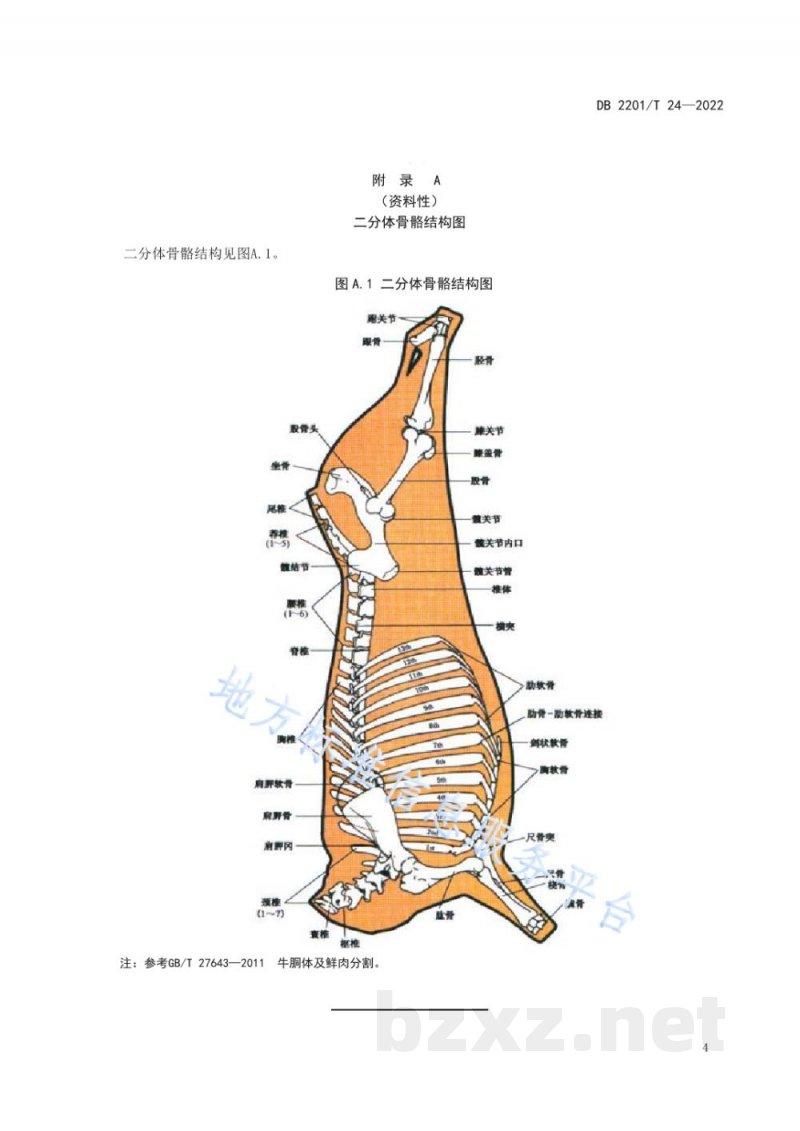 DB2201/T 24-2022梅花鹿鹿肉分割技术规范