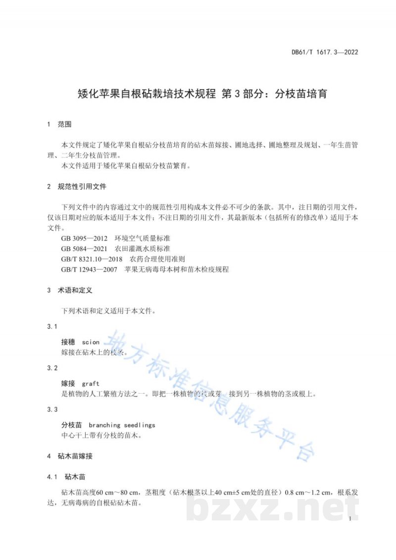 DB61/T 1617.3-2022矮化苹果自根砧栽培技术规程 第3部分：分枝苗培育