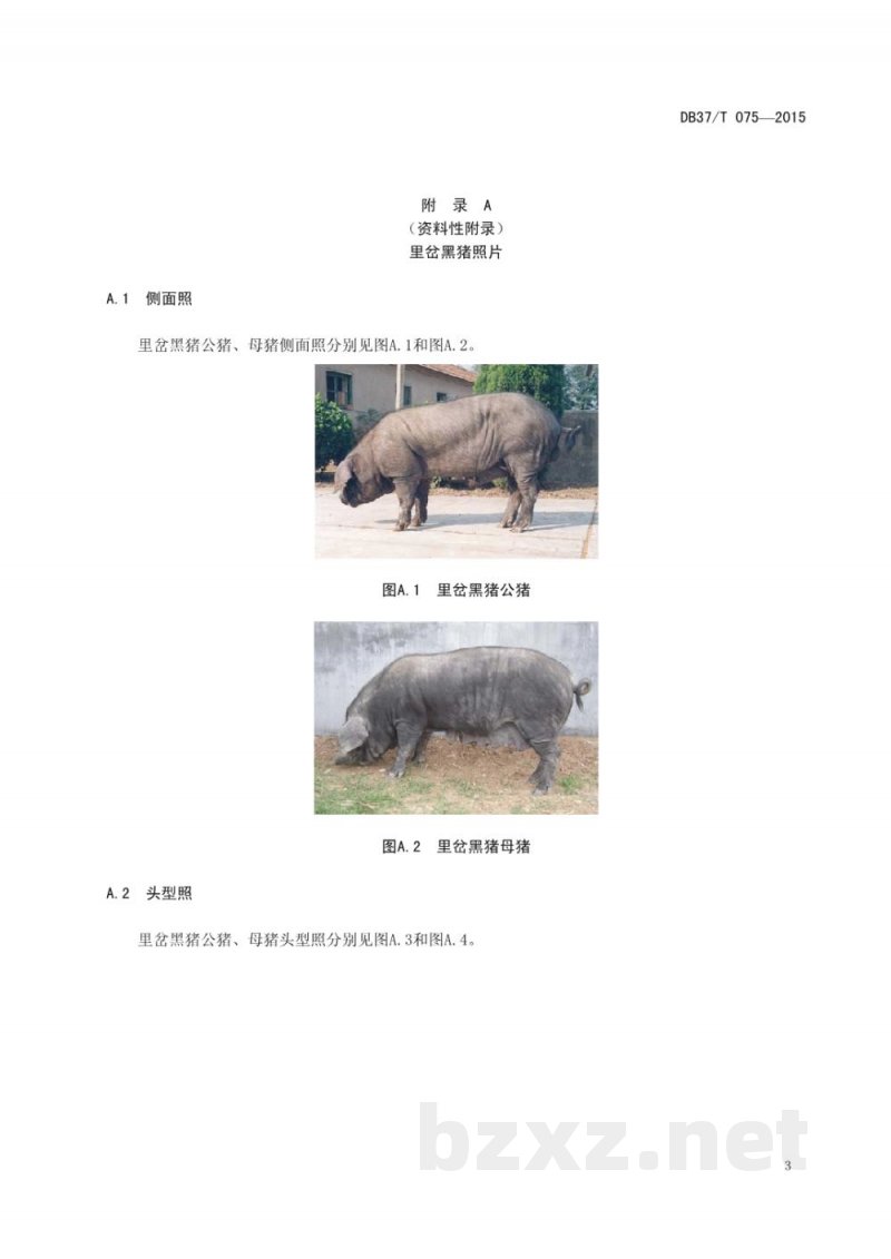 DB37/T 075-2015里岔黑猪