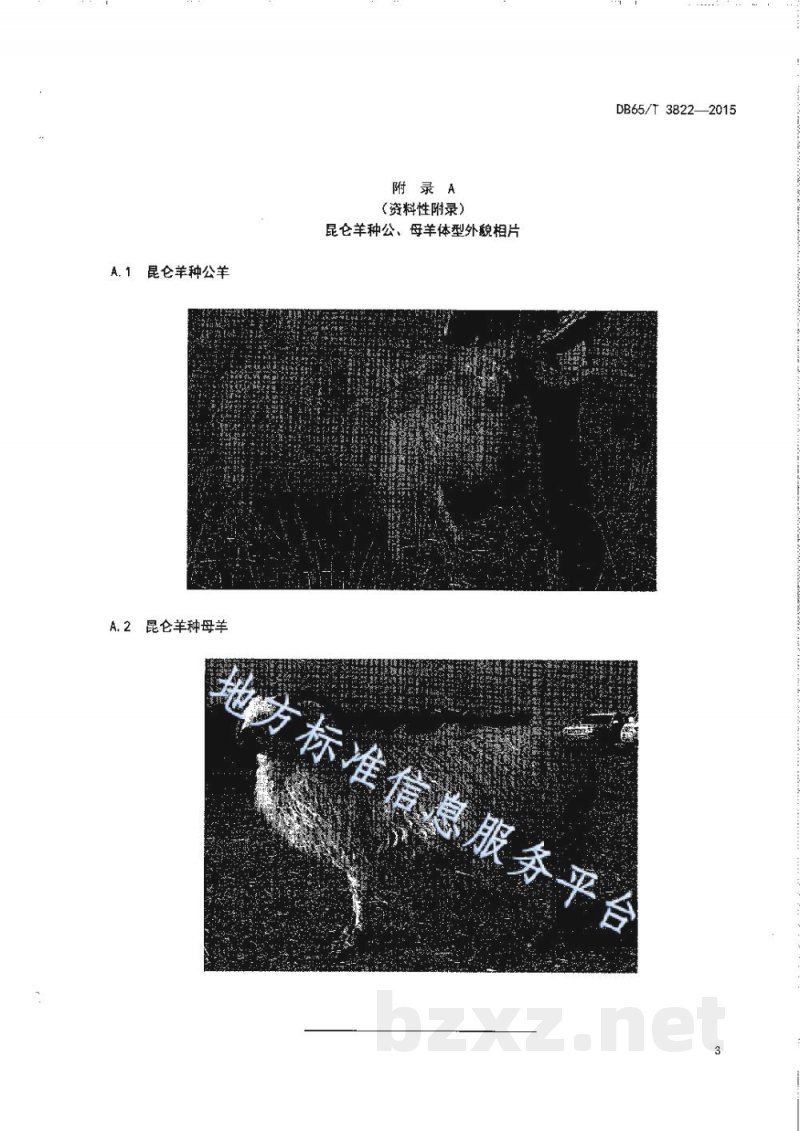 DB65/T 3822-2015昆仑羊种羊
