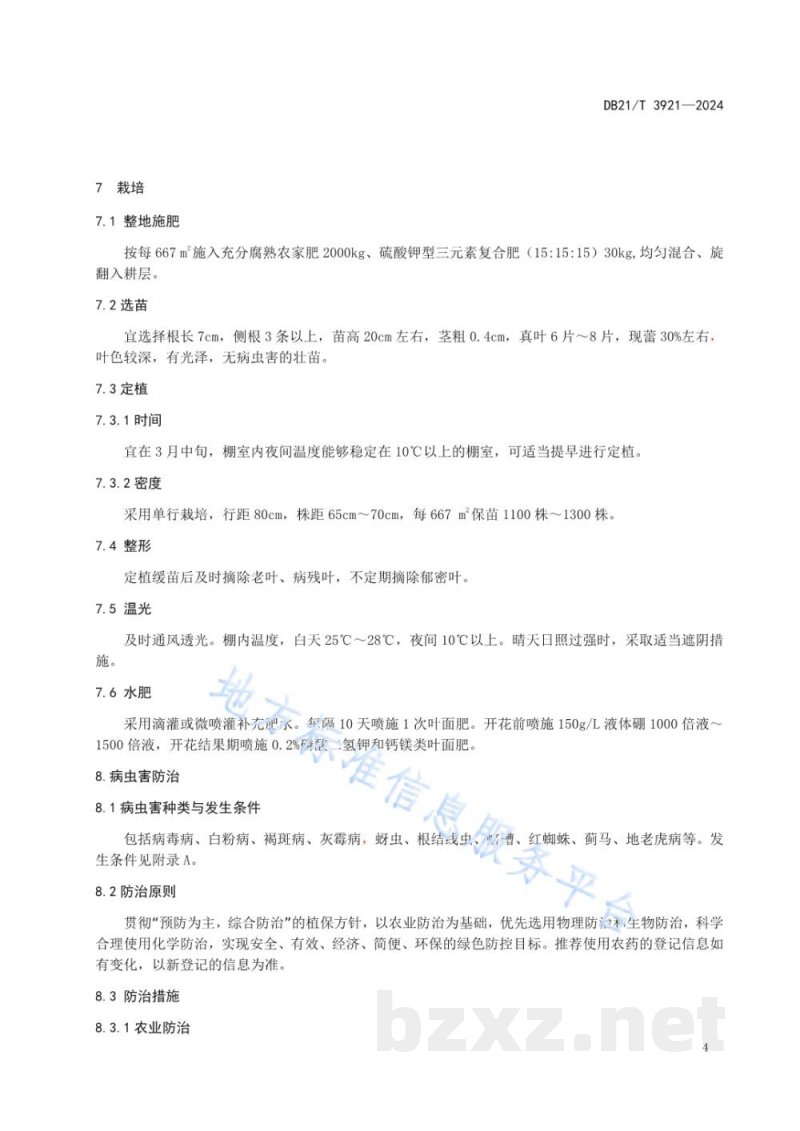 DB21/T 3921-2024毛酸浆（黄菇娘）塑料大棚栽培技术规程