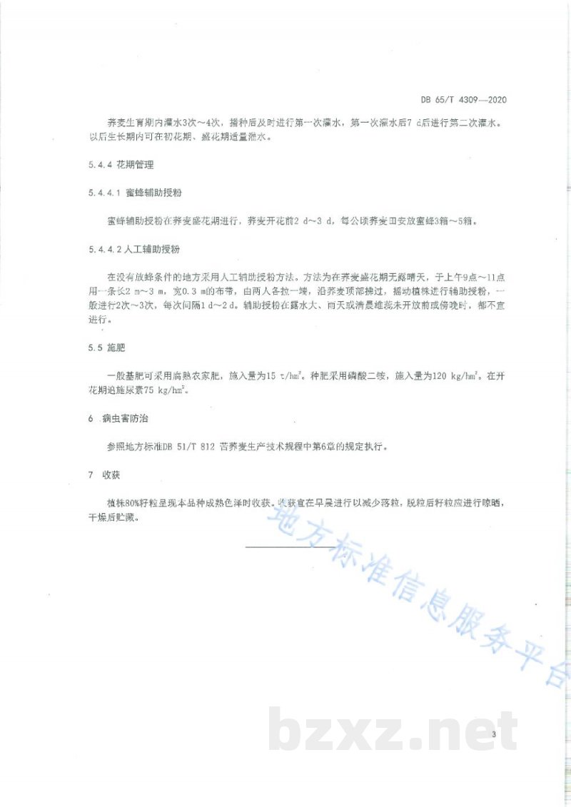 DB65/T 4309-2020麦茬复播甜荞高产栽培技术规程