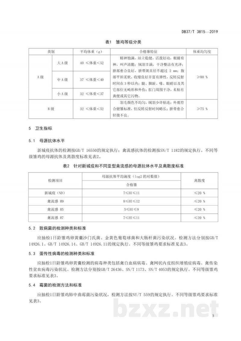 DB37/T 3815-2019白羽肉鸡商品代雏鸡质量标准