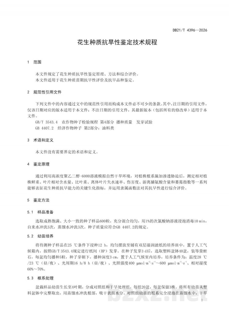 DB21/T 4396-2026花生种质抗旱性鉴定技术规程