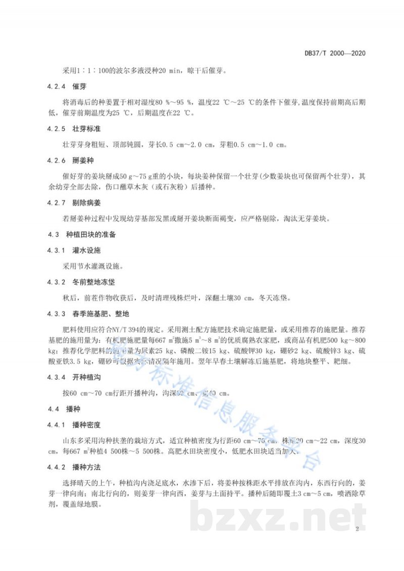 DB37/T 2000-2020绿色食品 生姜生产技术规程