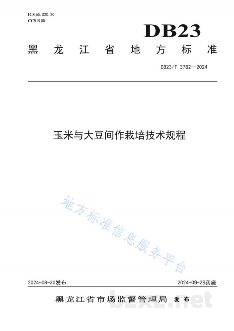 DB23/T 3782-2024玉米与大豆间作栽培技术规程