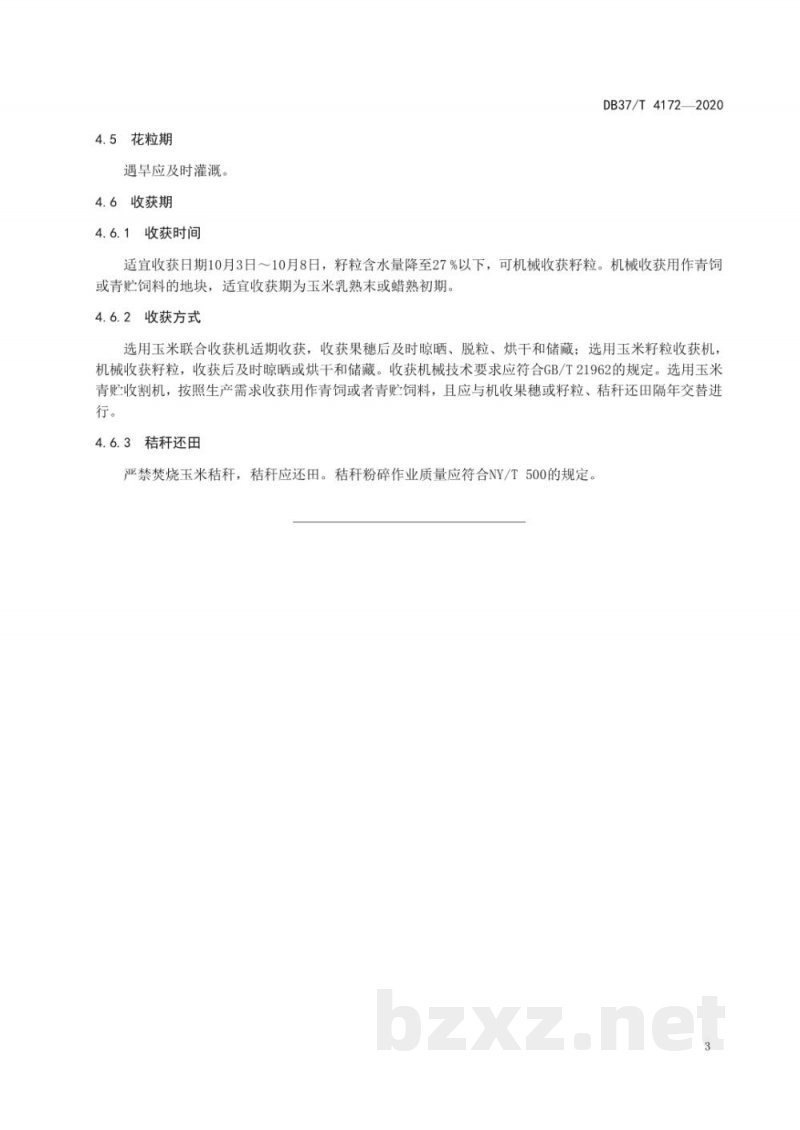 DB37/T 4172-2020夏玉米全程机械化稳产高效生产技术规程