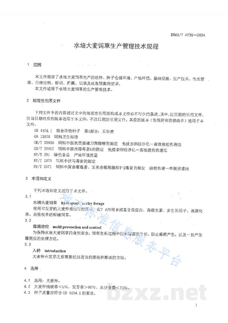 DB65/T 4735-2024水培大麦饲草生产管理技术规程