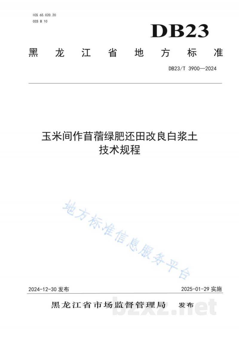 DB23/T 3900-2024玉米间作苜蓿绿肥还田改良白浆土技术规程