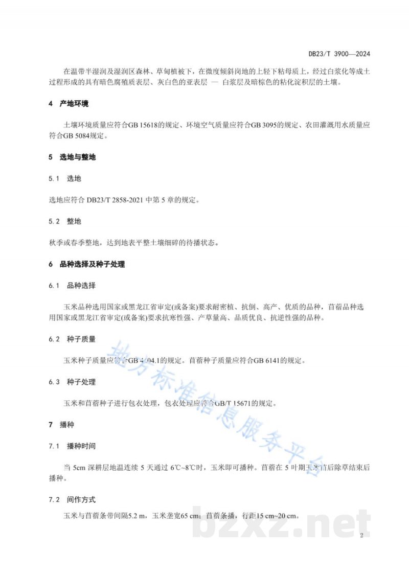 DB23/T 3900-2024玉米间作苜蓿绿肥还田改良白浆土技术规程