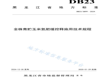 DB23/T 3899-2024全株青贮玉米氮肥缓控释施用技术规程