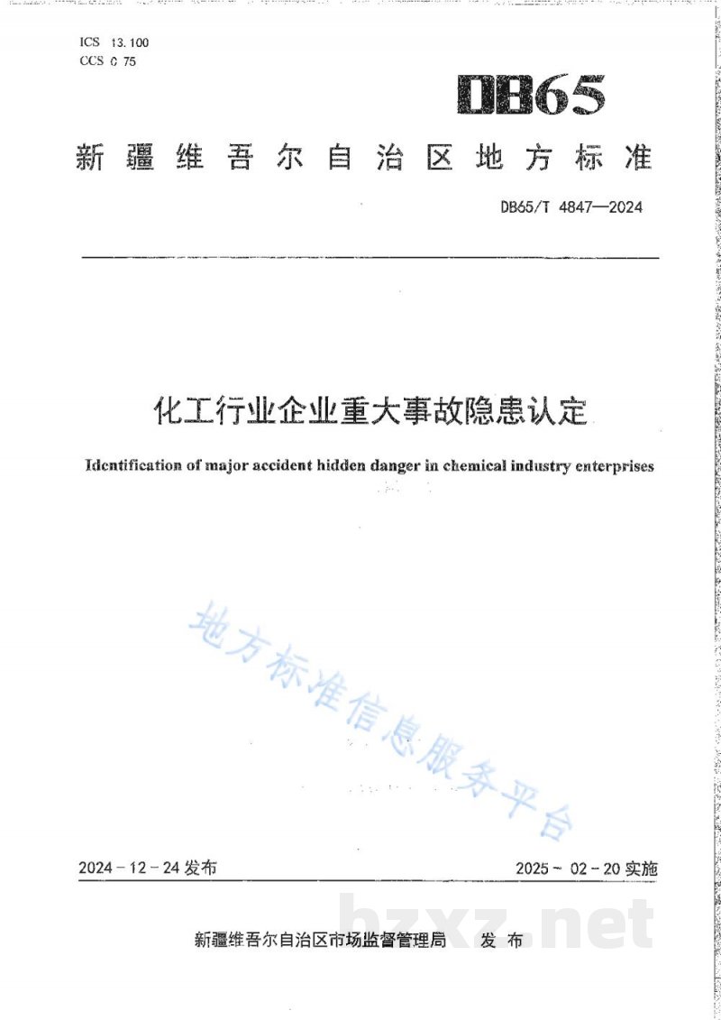 DB65/T 4847-2024化工行业企业重大事故隐患认定