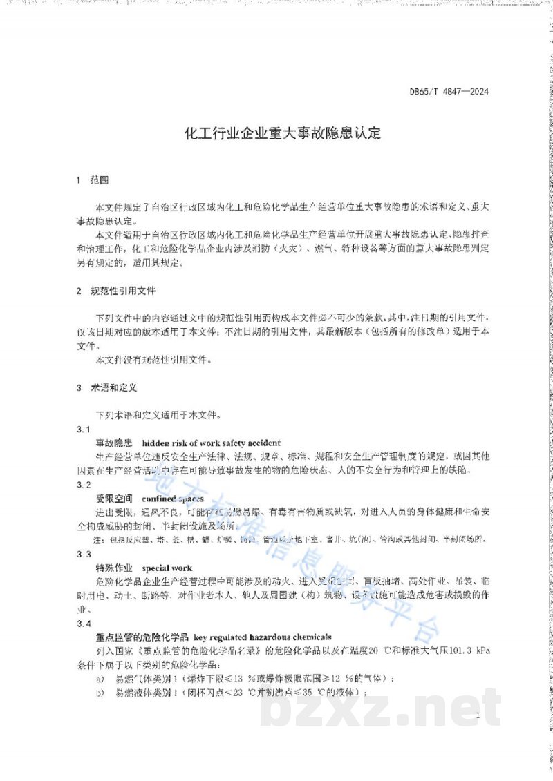 DB65/T 4847-2024化工行业企业重大事故隐患认定