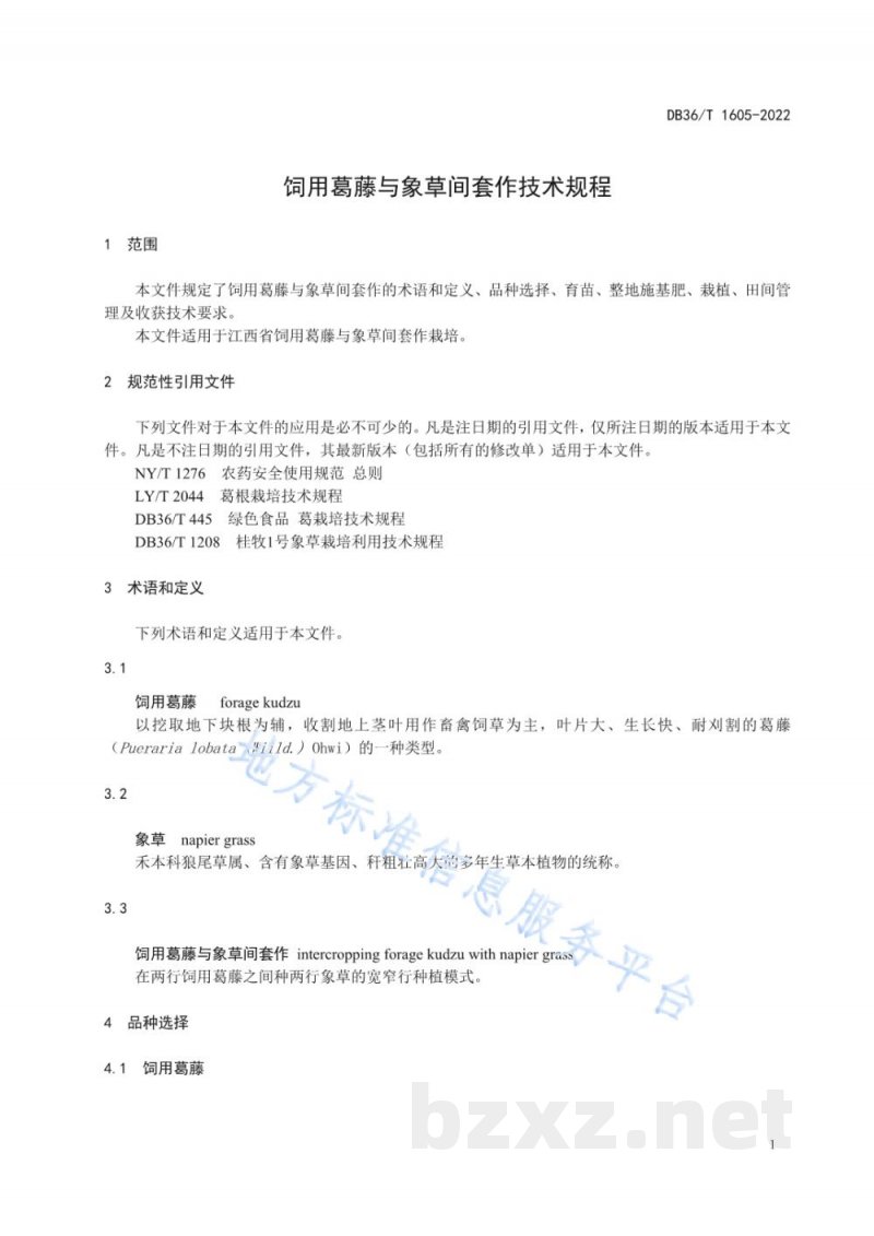 DB36/T 1605-2022饲用葛藤与象草间套作技术规程