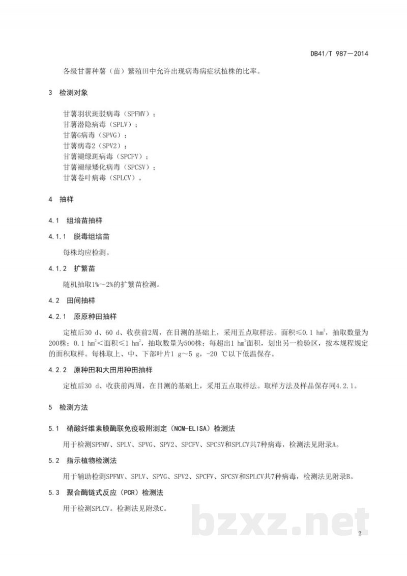 DB41/T 987-2014脱毒甘薯种薯（苗）病毒检测技术规程