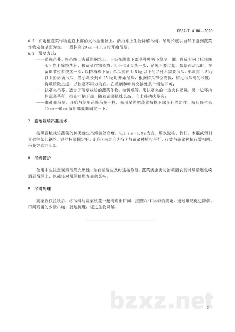 DB37/T 4180-2020蔬菜栽培生物降解吊绳应用技术规程
