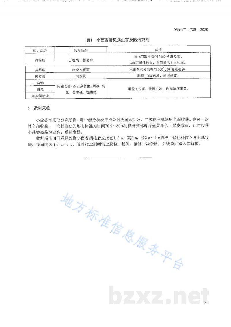 DB64/T 1735-2020小茴香机械化覆膜精量穴播栽培技术规程