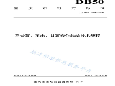 DB50/T 1184-2021马铃薯、玉米、甘薯套作栽培技术规程
