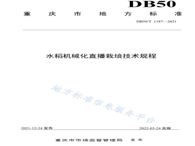 DB50/T 1187-2021水稻机械化直播栽培技术规程