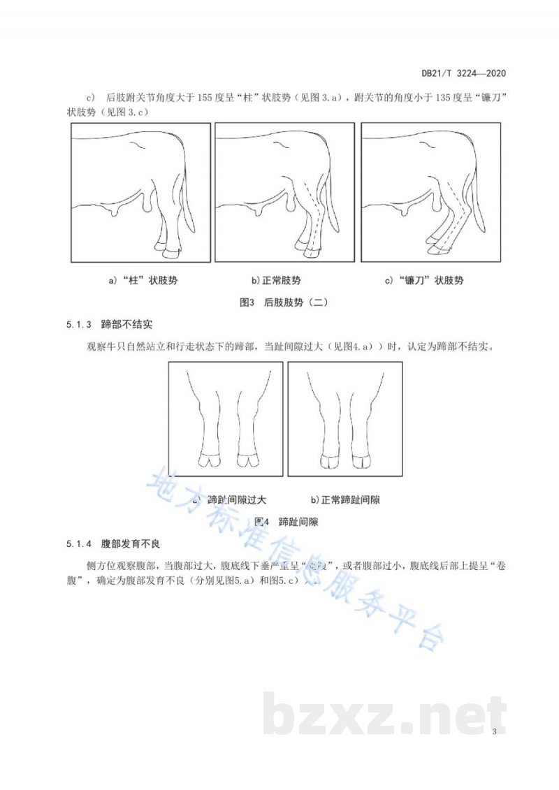 DB21/T 3224-2020辽育白牛后备公牛体型评定技术规范