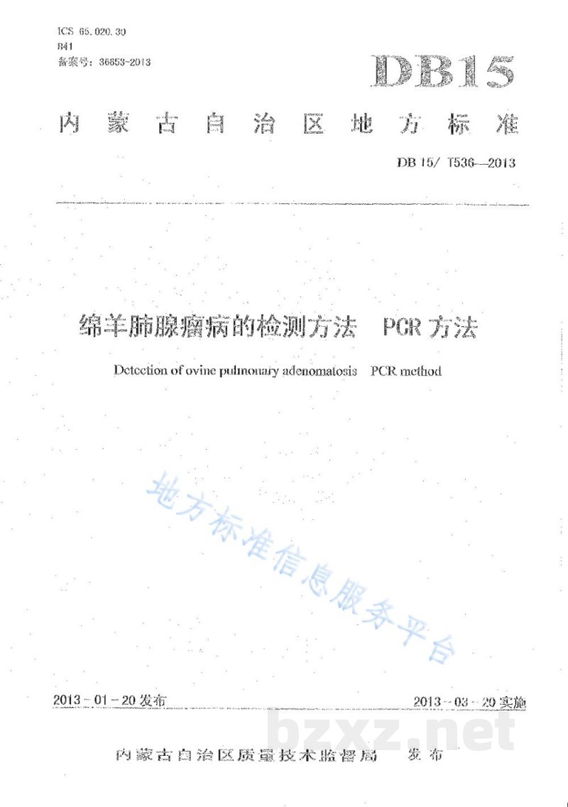 DB15/T 536-2013绵羊肺腺瘤病的检测方法 PCR方法