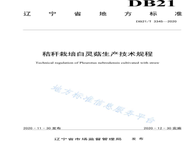 DB21/T 3345-2020秸秆栽培白灵菇生产技术规程