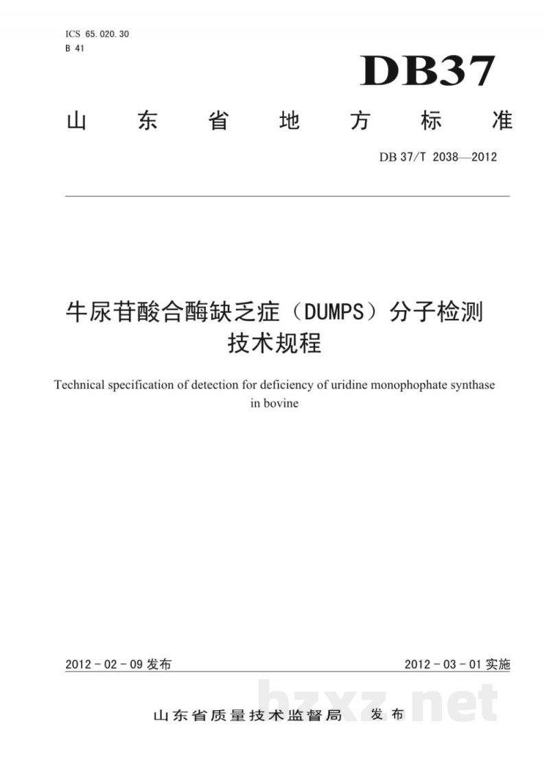 DB37/T 2038-2012牛尿苷酸合酶缺乏症（DUMPS）分子检测技术规程