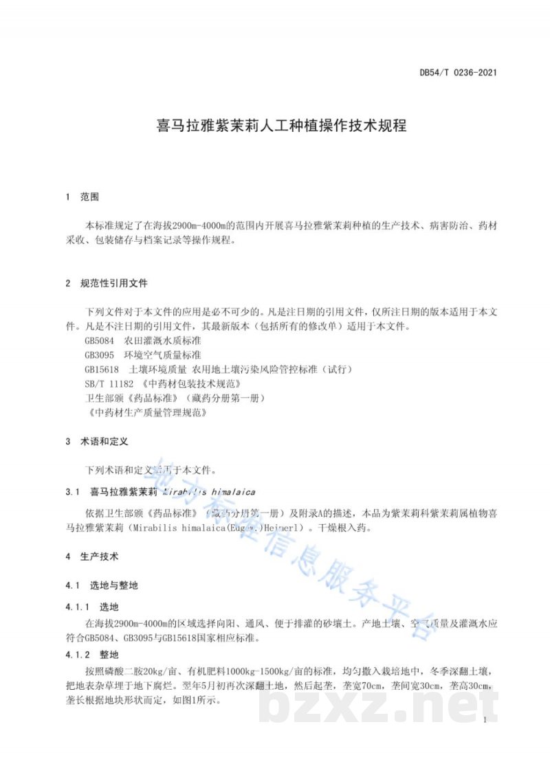 DB54/T 0236-2021喜马拉雅紫茉莉人工种植操作规程
