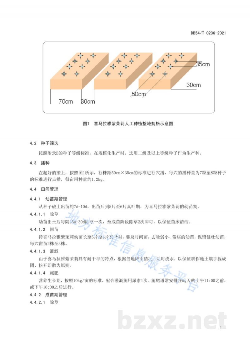DB54/T 0236-2021喜马拉雅紫茉莉人工种植操作规程