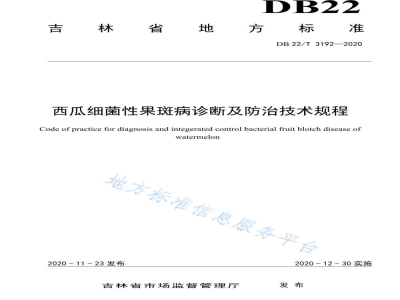 DB22/T 3192-2020西瓜细菌性果斑病诊断及防治技术规程