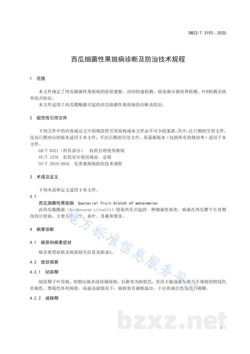 DB22/T 3192-2020西瓜细菌性果斑病诊断及防治技术规程