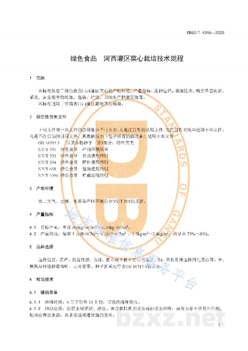 DB62/T 4246-2020绿色食品 河西灌区菜心栽培技术规程