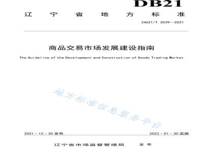 DB21/T 3539-2021商品交易市场发展建设指南