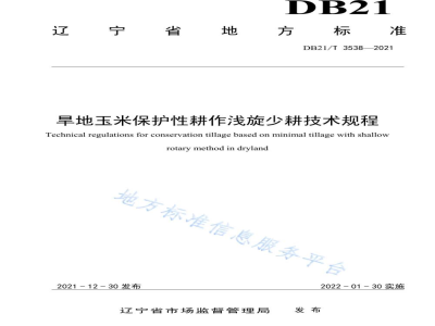 DB21/T 3538-2021旱地玉米保护性耕作浅旋少耕技术规程
