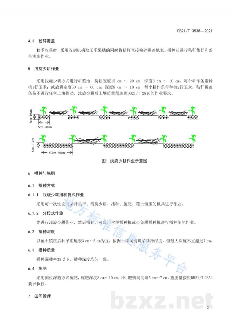 DB21/T 3538-2021旱地玉米保护性耕作浅旋少耕技术规程