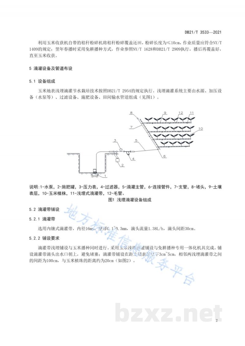 DB21/T 3533-2021玉米秸秆覆盖滴灌节水栽培技术规程