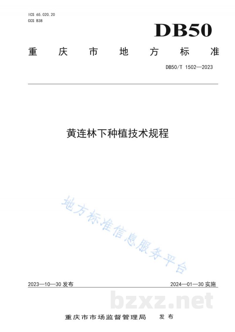 DB50/T 1502-2023黄连林下种植技术规程