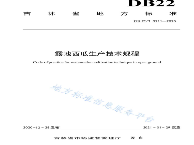 DB22/T 3211-2020露地西瓜生产技术规程