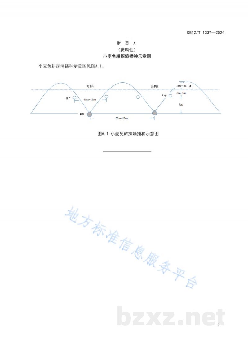 DB12/T 1337-2024小麦免耕探墒播种技术规程