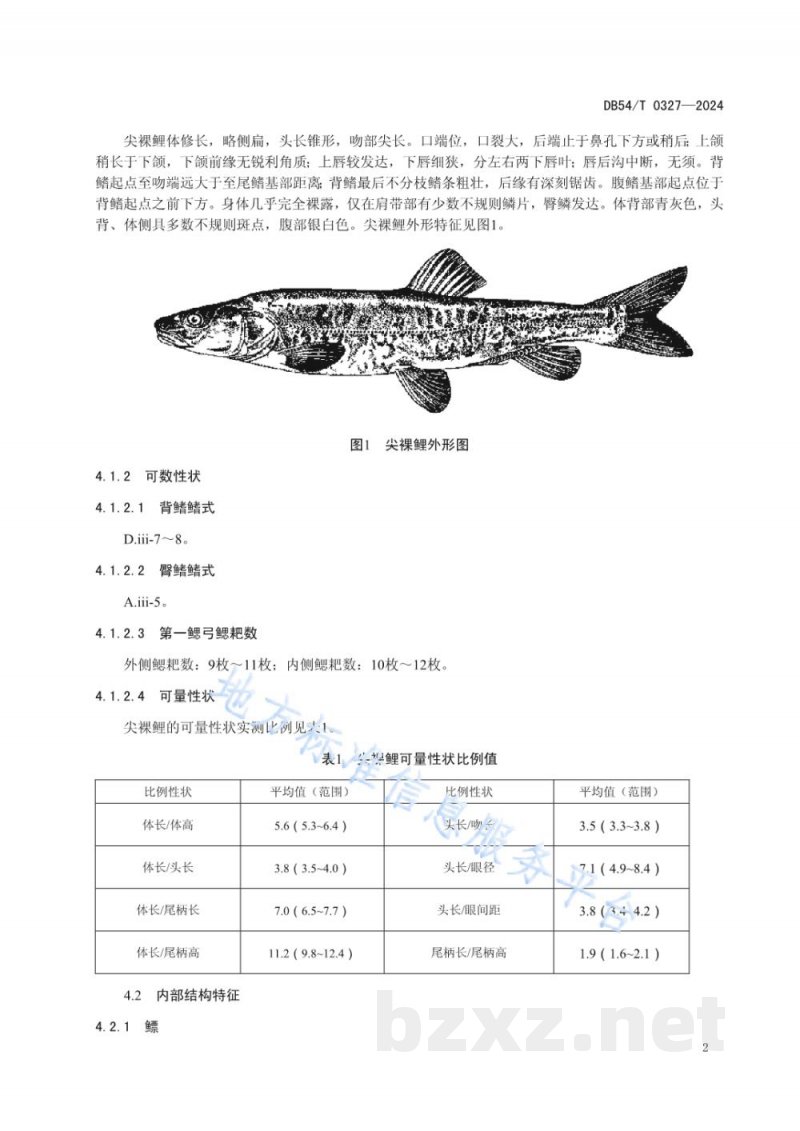 DB54/T 0327-2024尖裸鲤