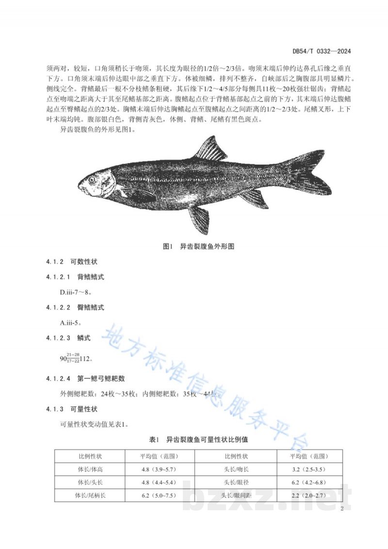 DB54/T 0332-2024异齿裂腹鱼