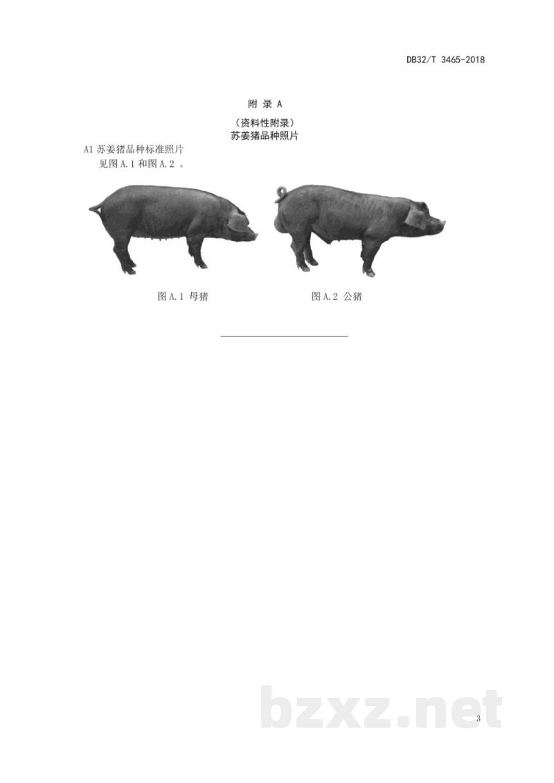 DB32/T 3465-2018苏姜猪品种