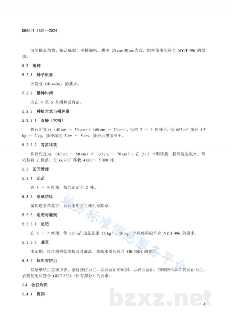 DB50/T 1631-2024青贮玉米与一年生黑麦草轮作技术规范