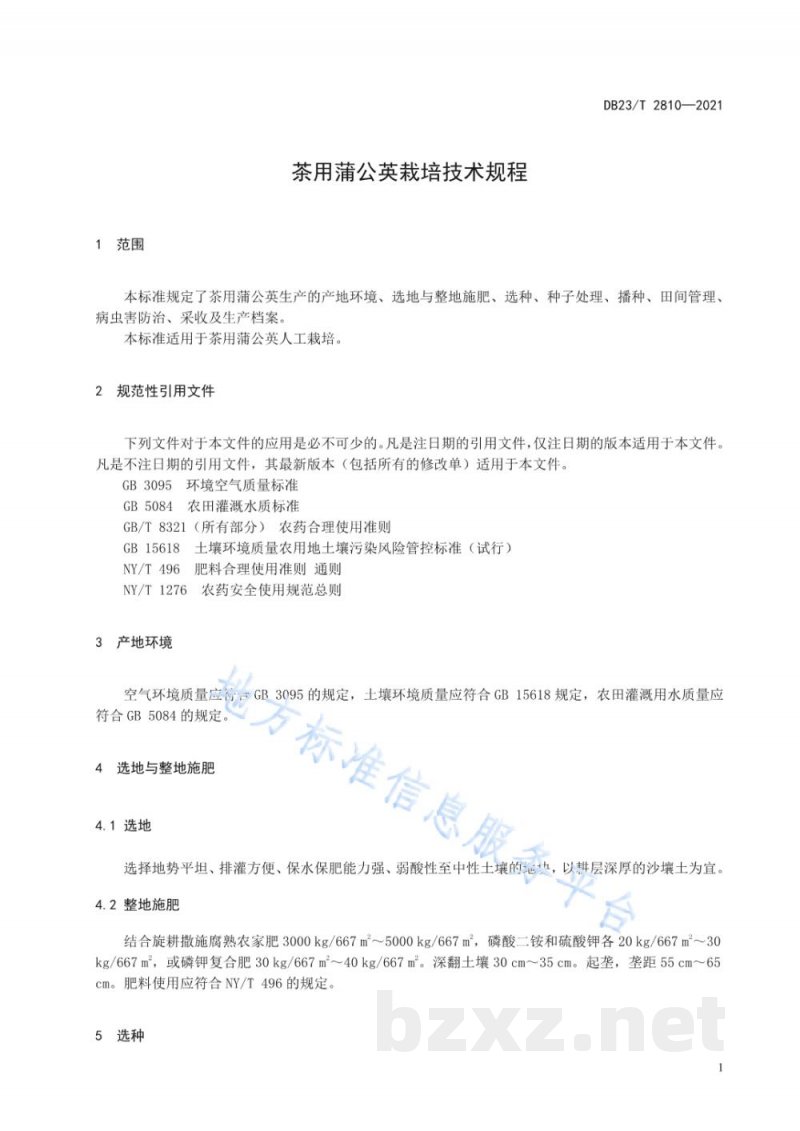 DB23/T 2810-2021茶用蒲公英栽培技术规程