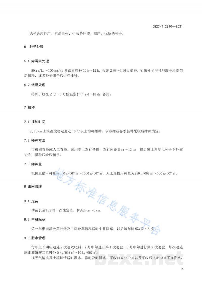 DB23/T 2810-2021茶用蒲公英栽培技术规程