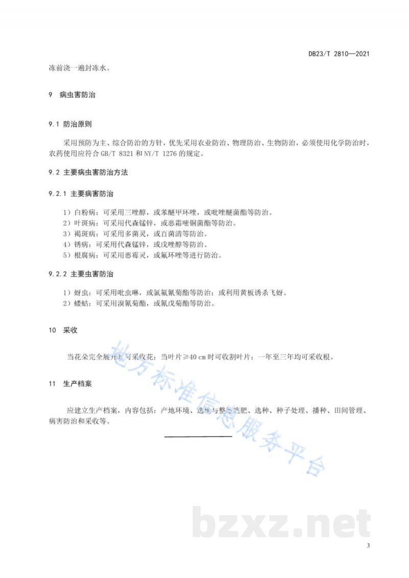 DB23/T 2810-2021茶用蒲公英栽培技术规程