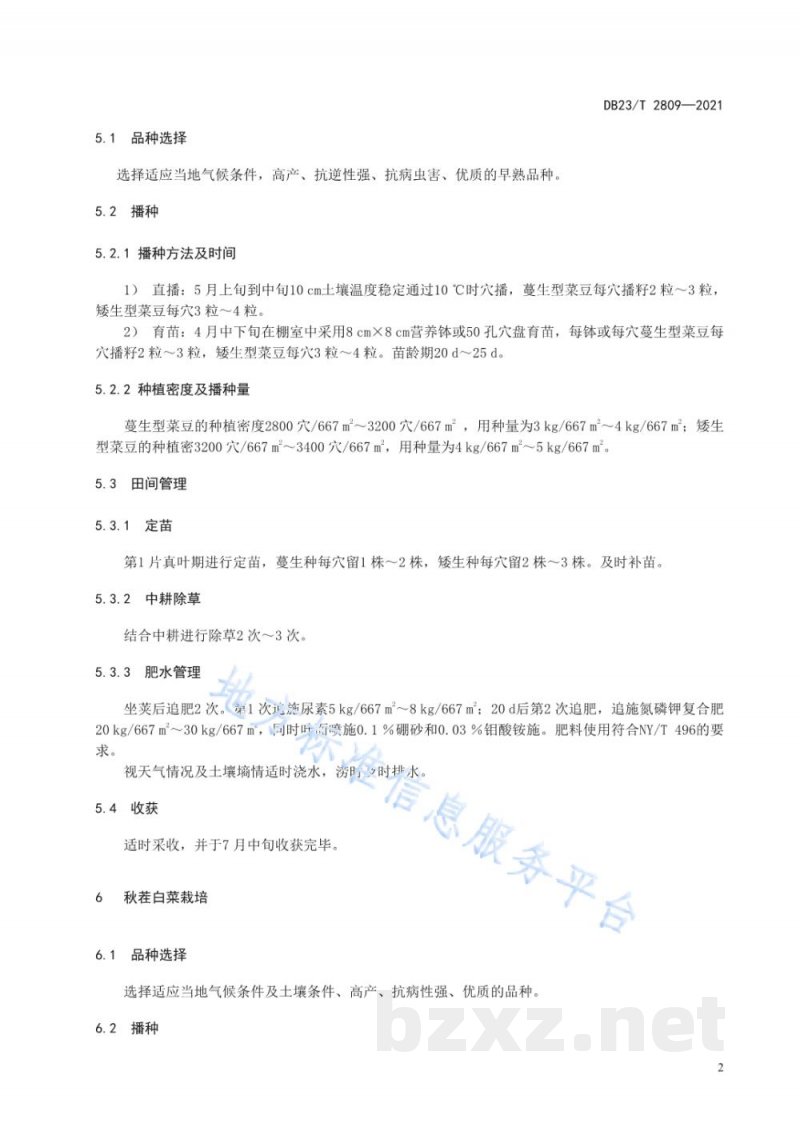 DB23/T 2809-2021菜豆复种秋白菜生产技术规程